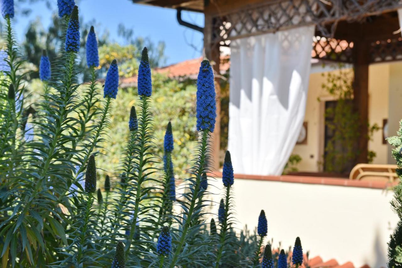 Villa Tina Санта-Мария-ди-Кастеллабате Экстерьер фото